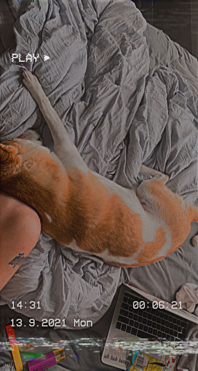 👽😈 D i V a 🦋🌞 tweet media