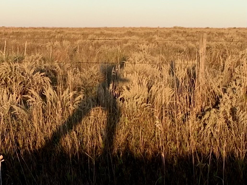 Cool mornings, long shadows