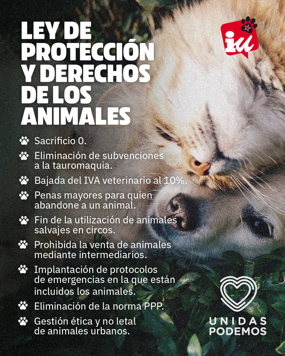 📝Hemos presentado la Ley de Protección y Derechos de los animales, la primera ley animalista que tendrá el país.

📢 Seguimos luchando desde las instituciones para hacer políticas que protejan también a los animales y sus derechos. ¡¡¡ Seguimos !!!