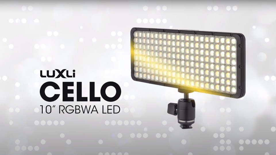 B&H Photo Video tweet media