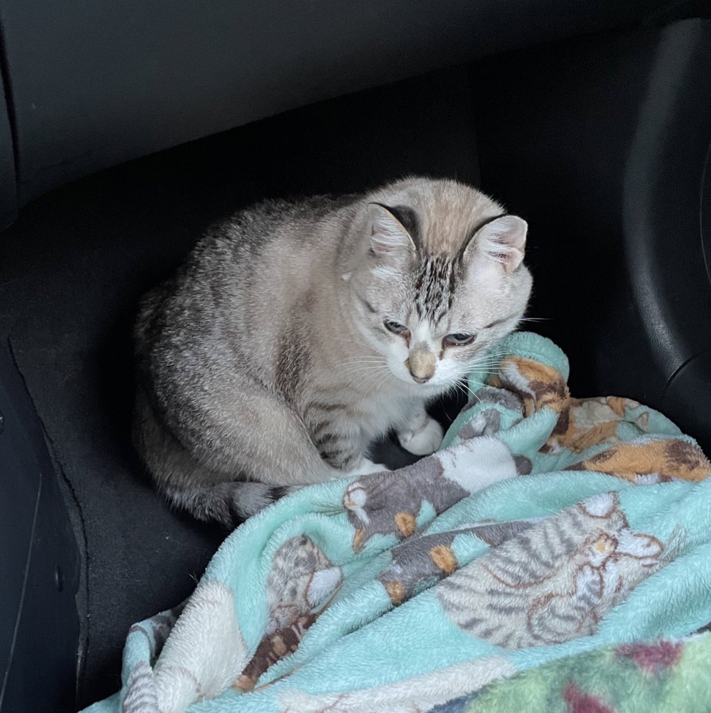 Mackenna Russell tweet media