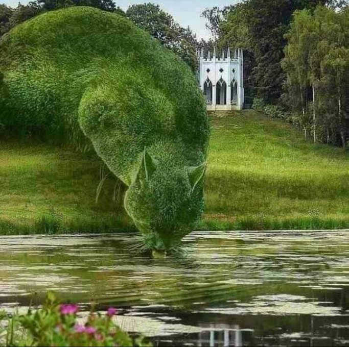 MrOisso's tweet photo. it's a good day💚💚 https://t.co/0j9zKQBACQ