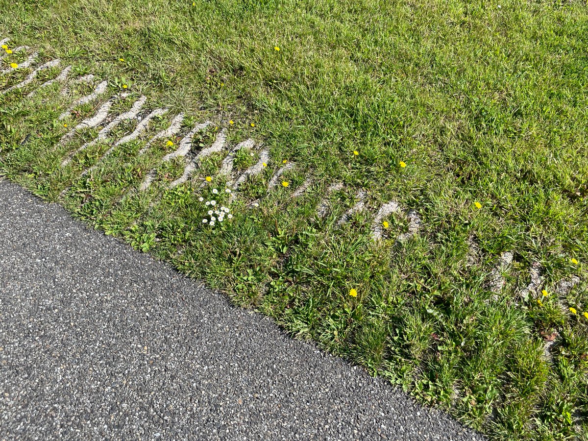 vdboschbeton's tweet photo. #REDUTON In de gemeente @gemtwenterand is er aan de Zuivering enige tijd geleden gekozen voor onze Reduton Cementloze Grasbetonblokken. Door de keuze voor Reduton kiest de gemeente bewust voor een CO2-reductie van ca. 80%. Ze zijn dus nog groener dan ze er al uit zien! https://t.co/qgH1eYmRNo