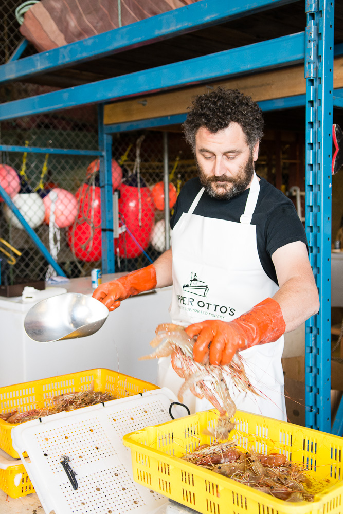 Local Catch Network tweet media