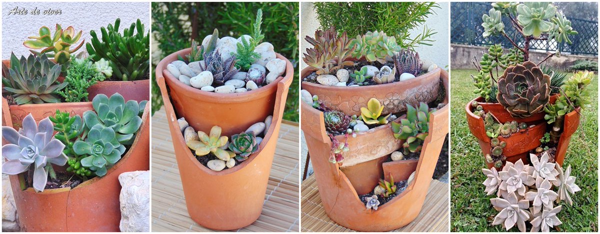 Marlie70's tweet photo. DĆŖ uso aos vasos partidos #artedeviver #suculentas #jardinagem #plantas #reciclagem #cantinhoverde #vasosdeterracota
https://t.co/8aMy1muZWC https://t.co/ya4p0wslVZ