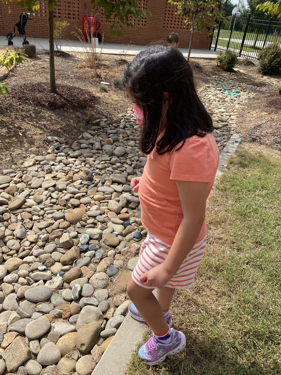 MsAllisonECS2's tweet image. Exploring the world around us! #LHECMES @LJWood_LHECMES @naturalsciences #TakeAChildOutside