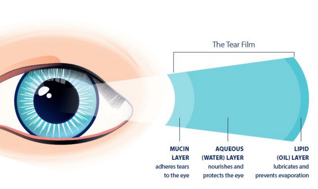 OPTASEeyes's tweet photo. The average blink only lasts for 1/10th of a second, but that’s still enough time for your eye to get lubricated and cleaned by new tears! Make sure you’re maintaining your tear film to protect your eyes. https://t.co/BknOImmgbw https://t.co/Otlgkq6Z7w