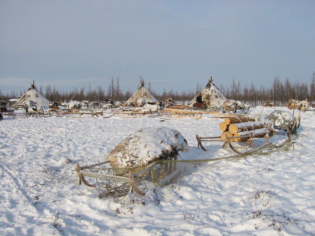 In a paper led by <a href="/MarkSerreze/">Mark C. Serreze</a>, scientists provide a review &amp; synthesis of Arctic rain on snow events and their impacts, addressing human-environment relationships, meteorological conditions, and challenges in their detection. Read it: bit.ly/39bu5a2. Photo: Bruce Forbes