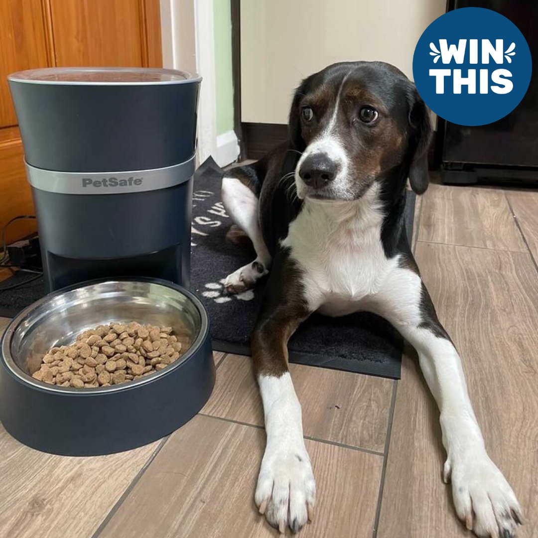 PetSafe UK (@petsafeuk) on Twitter photo Giveaway πΎ We are giving you the chance to #win the PetSafe Smart Feed Automatic Pet Feeder for your furry friend! πΆ
To enter: Retweet and follow <a href="/PetSafeUK/">PetSafe UK</a>
#PetSafeGiveaway #Giveaway #Contest #PetsOfTwitter Giveaway πΎ We are giving you the chance to #win the PetSafe Smart Feed Automatic Pet Feeder for your furry friend! πΆ
To enter: Retweet and follow <a href="/PetSafeUK/">PetSafe UK</a>
#PetSafeGiveaway #Giveaway #Contest #PetsOfTwitter