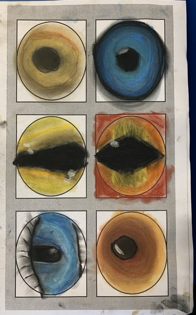 P7 made origami eyes using pastels to blend and create their eye. These were based on animals and the human eye. Their design process allowed them to choose and select what worked well before creating the finished product. #ArtistOnTwitter #artwork #3DModel