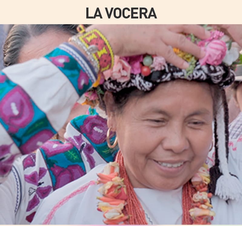 Cine+Video Indigena tweet media