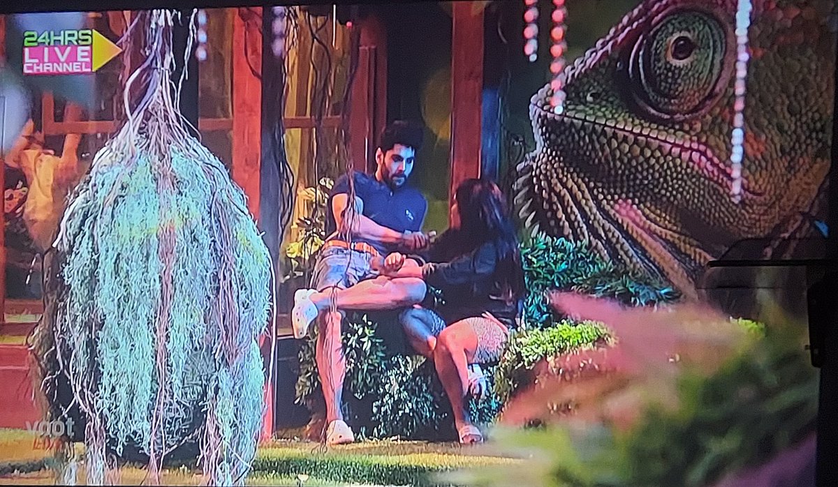 Someone___NoOne's tweet photo. #BiggBoss15 Livefeed:

#AfsanaKhan ~ Sher kab dahadega!?

#SimbaNagpal ~ Jab uska maan karega !!! 🦁🦁

Kya baat 👏👏

#BB15 https://t.co/iF3GrTNgxz