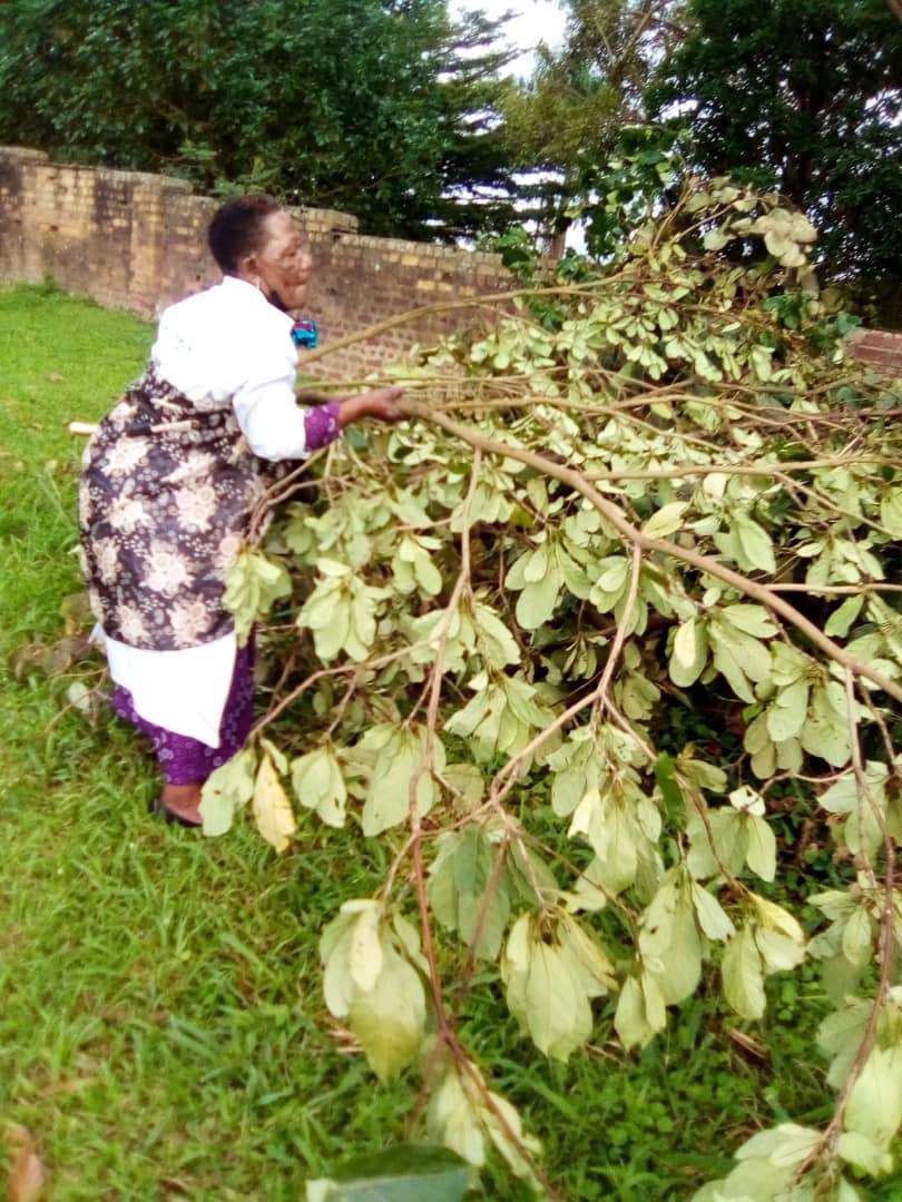BugandaKingdom_'s tweet photo. Obumu ku bubonero obwoleka kyetuyita omwoyo gwa Buganda ogutafa.
Bano baabukeelezza nkokola okuyoyota mu Lubiri e Mengo, Muky. Ever Ssembajwe, Abakyala n'Abaamj be Kyaddondo temujjanga okwo.
#BugandaUpdates https://t.co/ifYJL860HJ