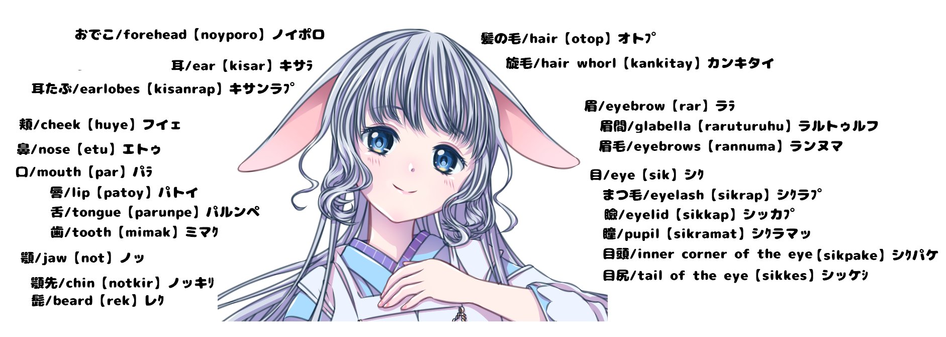 花兎ウパシ Upas Nonno うぱみなちゃんねる 頭部についてのアイヌ語と英語をまとめてみた 前髪 こめかみ等アイヌ語を見つけられなかったものがある Upas Aynuitak アイヌ語 Aynu T Co Ubitamap Twitter