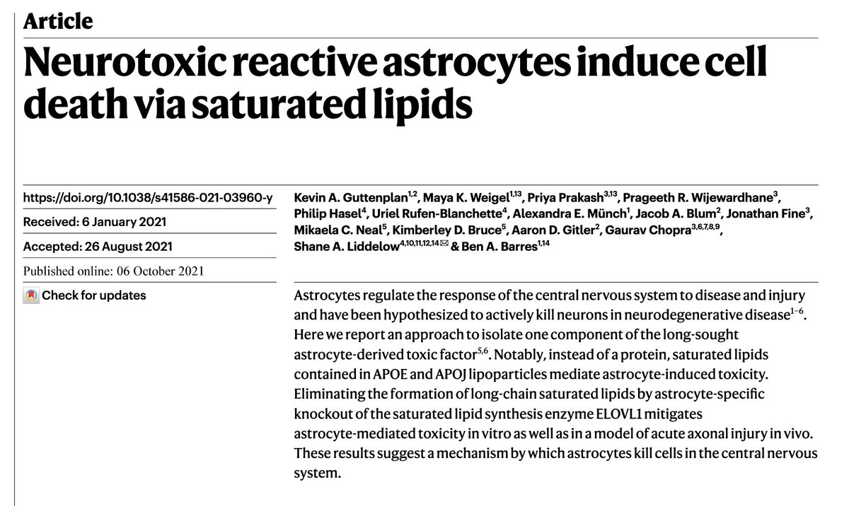 People have long thought that astrocytes release something that kills neurons, which could partly explain why neurons die in injury/neurodegenerative disease. In a paper that just came out, we think we found one of these long-sought toxic factors! (1/8) go.nature.com/3afi6si