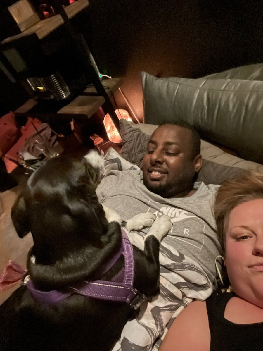 KristaAndrews1's tweet photo. Day 4, the couple coup was successful. I’m now #3 in my own #relationship. Why’d I have to go and adopt such a cute #dog… 
#relationshipproblems #cohabitating #coupleslivingtogether https://t.co/t7CkLppozI