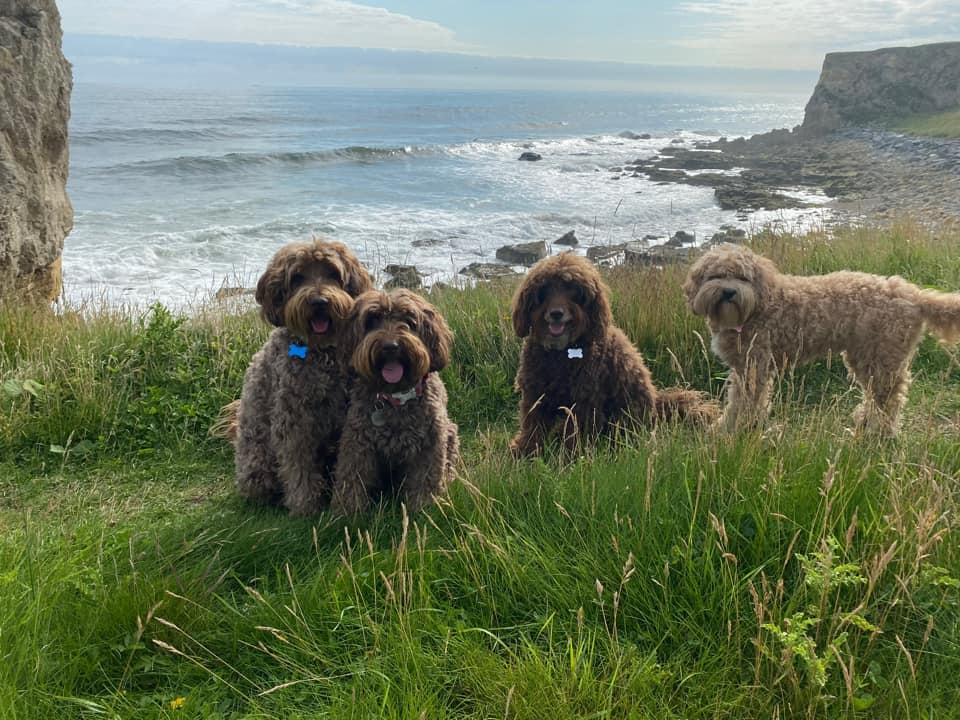 Looks like someone figured out 'Cheese' doesn't mean you actually get some 🧀