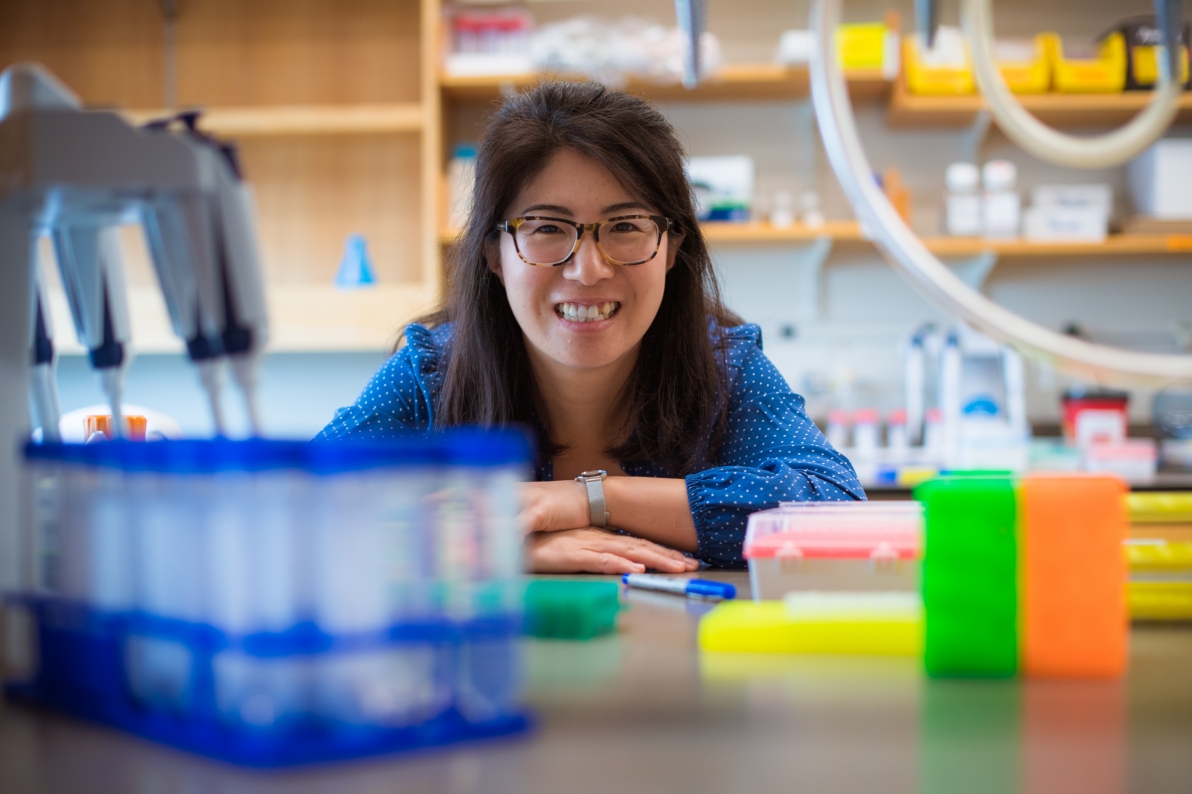 WhiteheadInst's tweet photo. Congratulations to Whitehead Institute Member Pulin Li, who has received a New Innovator Award from the @NIH. This prestigious award will fund her investigations into how epithelial and mesenchymal cells interact to form organs. 
Learn more: https://t.co/o43oPhbx82 

#NIHHighRisk https://t.co/qTqIA5jK3l