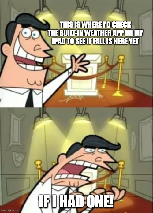 😎 Enjoy the sun, CISD! 😎