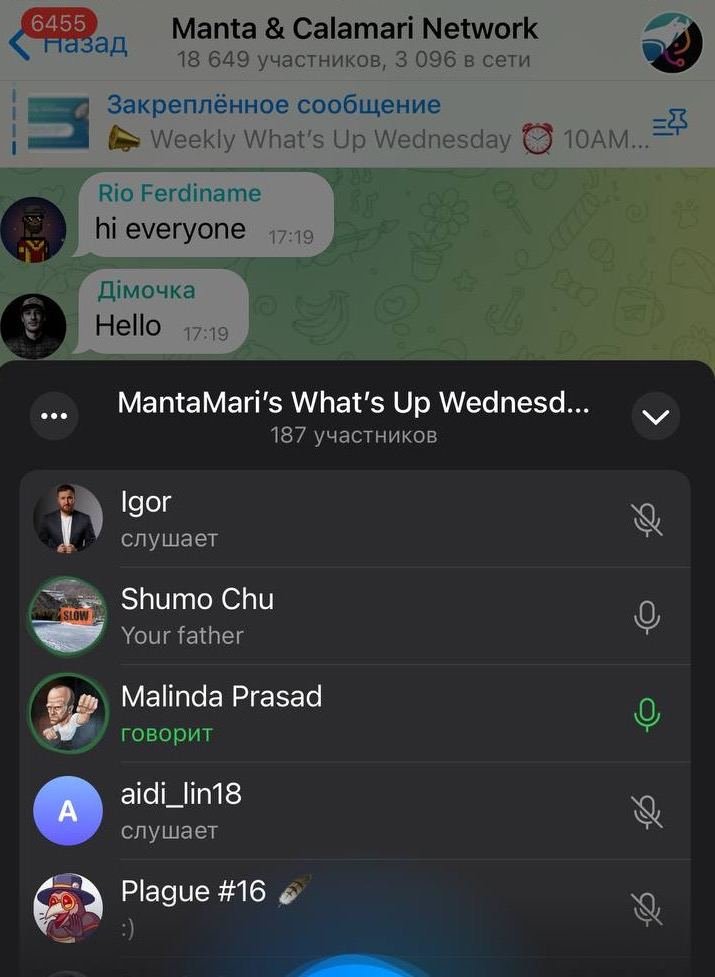 Guys I love this community! @mantanetwork #WhatsUpWednesday was cool as usual! Can't wait for release on <a href="/Polkadot/">Polkadot</a>