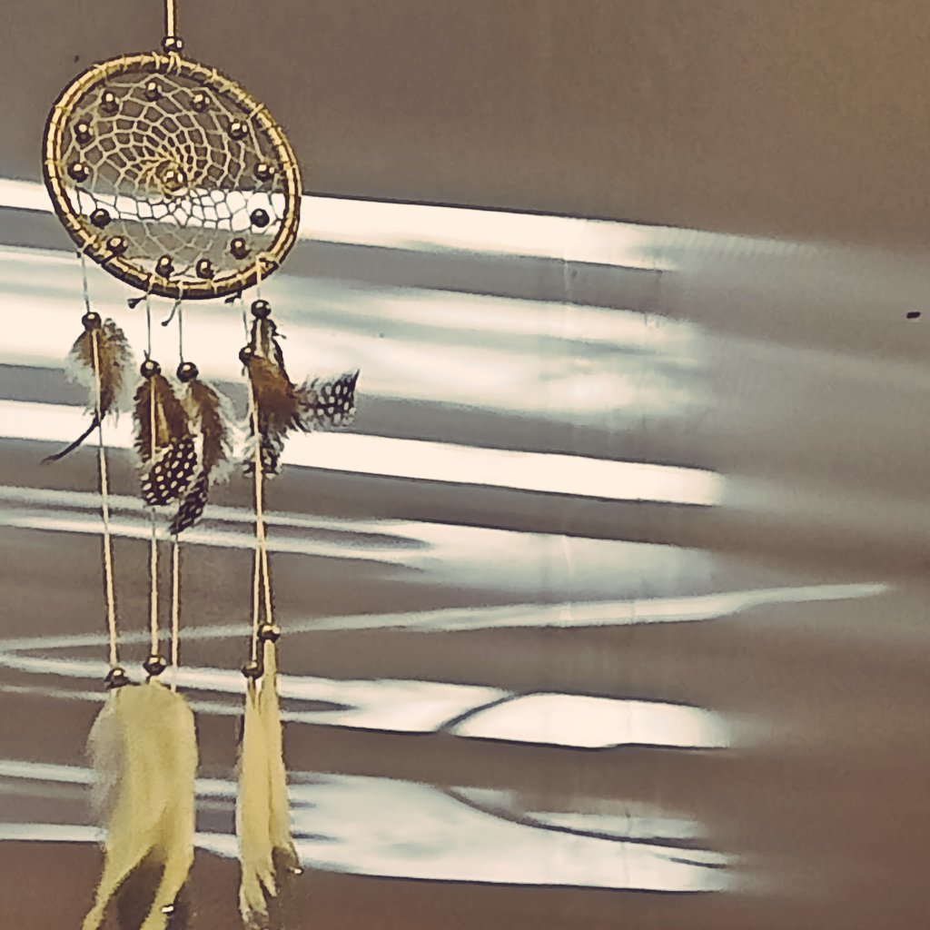 Catch the Dream. 🌿🍀💚