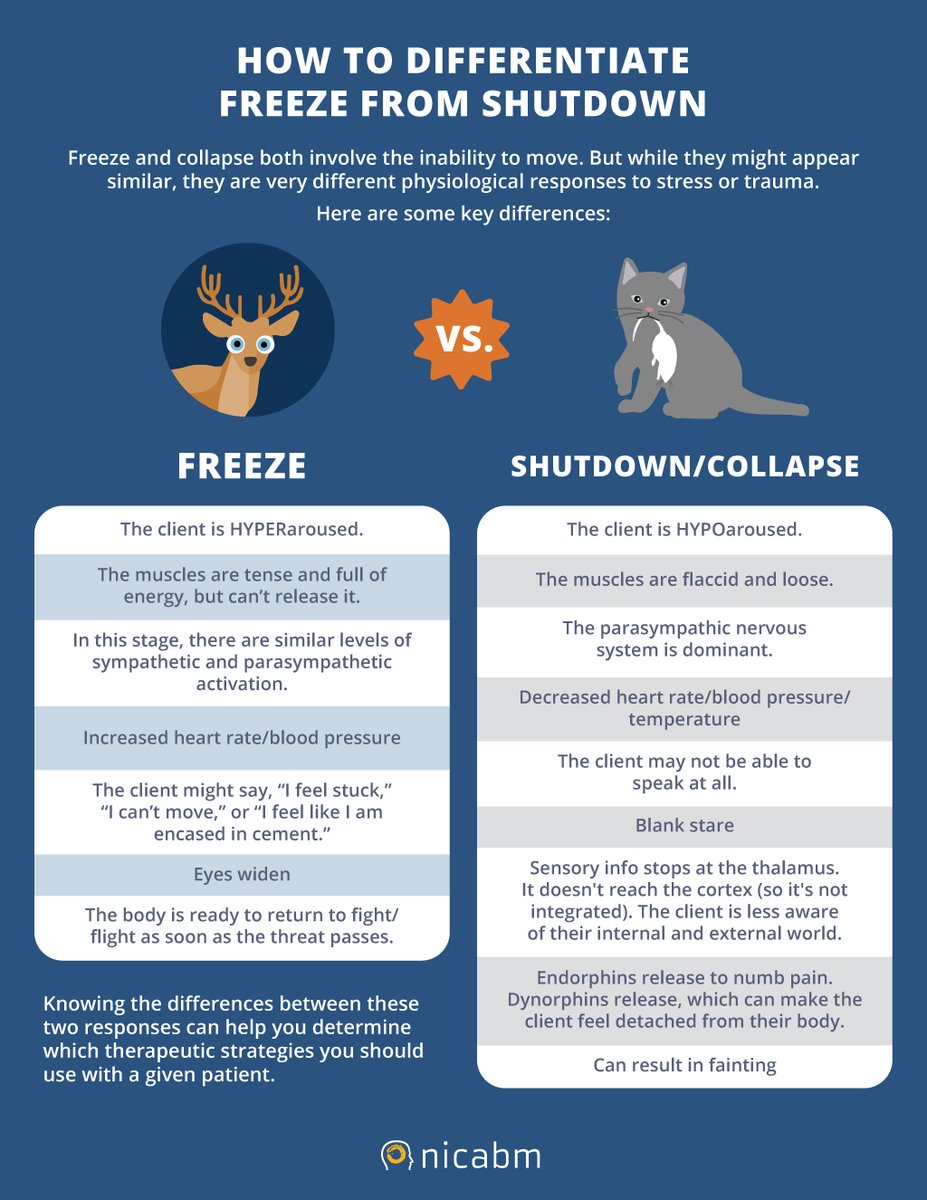 The freeze and shutdown responses to trauma can look the same but they are very different in what’s happening in your client’s brain and nervous system. In this infographic, we lay out the key cues to help you distinguish between the two: nicabm.com/the-difference…