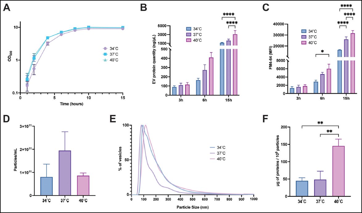 mSphere (@mspherej) on Twitter photo New work on the impact of temperature on #Staphylococcus aureus extracellular vesicle composition, from <a href="/P_briaud/">Paul Briaud</a> in <a href="/CarrollMicroLab/">Carroll Lab 🇺🇦</a> #proteomics #transcriptomics journals.asm.org/doi/10.1128/mS… <a href="/ASMicrobiology/">ASM</a> #mSphere New work on the impact of temperature on #Staphylococcus aureus extracellular vesicle composition, from <a href="/P_briaud/">Paul Briaud</a> in <a href="/CarrollMicroLab/">Carroll Lab 🇺🇦</a> #proteomics #transcriptomics journals.asm.org/doi/10.1128/mS… <a href="/ASMicrobiology/">ASM</a> #mSphere