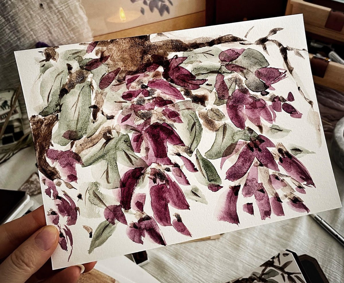 Franklin-Christoph tweet media