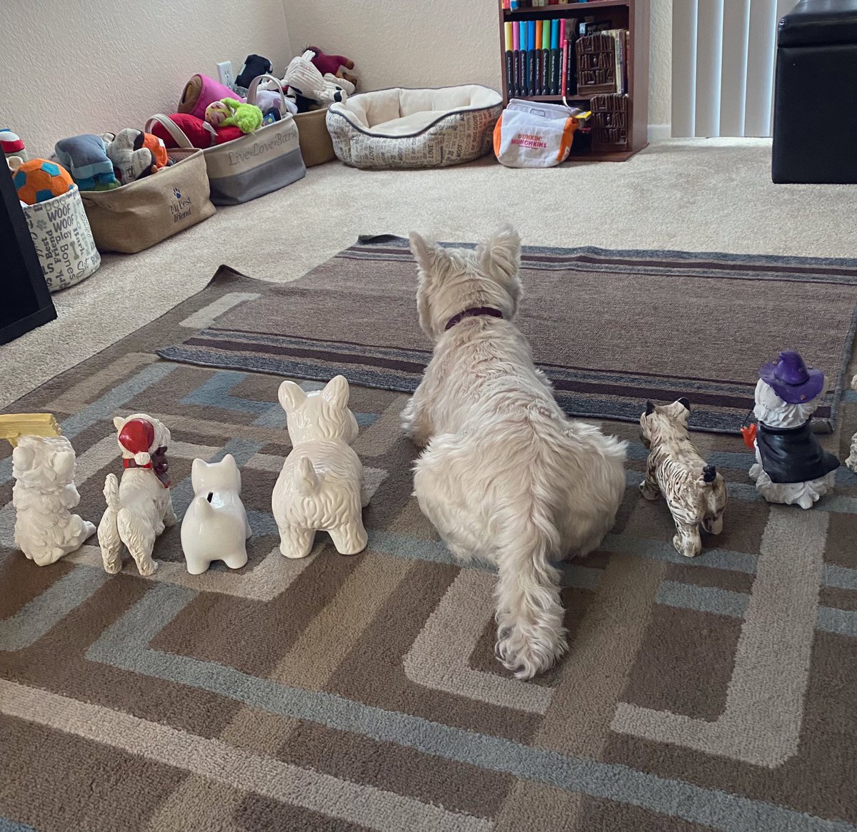 👊🏻💥 BAM! Initiate da #ZSHQ BlendIn InvisibilityCloak Cammouflage Tekneek 👍 Today iz baff b🛁 day .. hiding from Bonkz 👍 RaaAaaa <a href="/BraveWinston/">Lord Billy (oh, and Beatrix)</a> <a href="/WestieBiscuit/">🐶 GENERAL SHORTCAKE</a> <a href="/MadSCWT/">SuperOllie & SuperStella‼️💥🐾💚 (ShayDog🌈💚🐾)</a> <a href="/Sprocket_Cool/">GENERAL KYLO & 🌈SPROCK🌈🇬🇧💚💖🩵🐾#ZSHQ</a> <a href="/ZombieSquadHQ/">ZombieSquadHQ💖💚🧡💚🩵©</a>