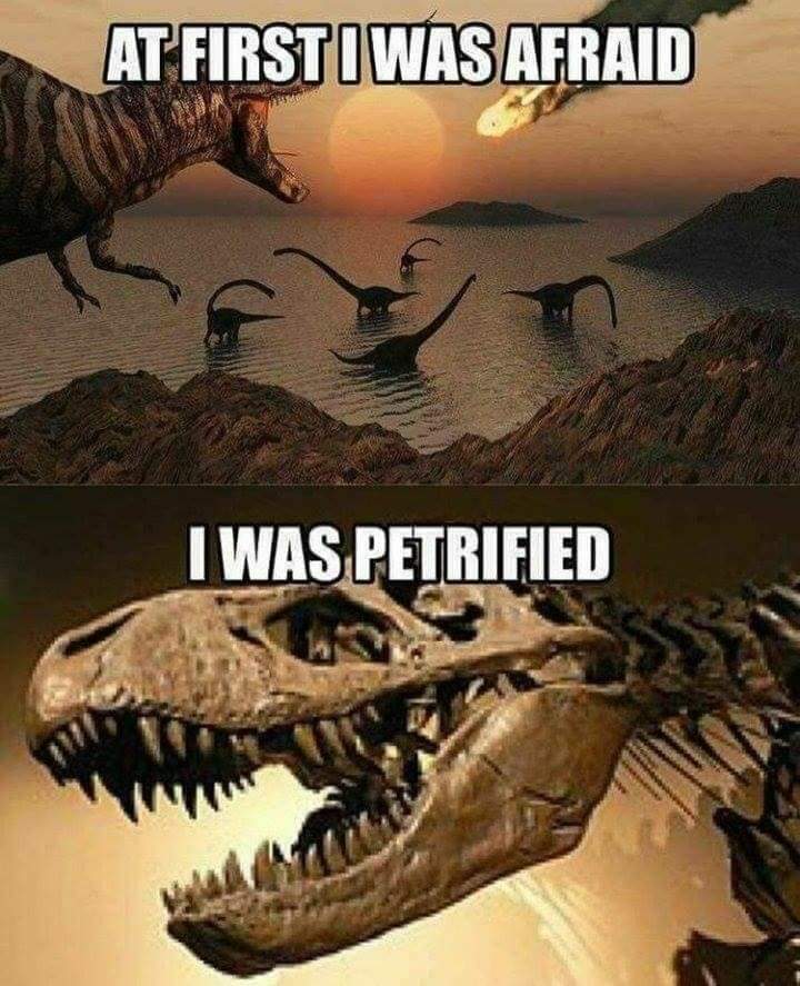 I first was like but then. At first i was like. At first but then мем. At first i was like but then флаг украины. I was first.