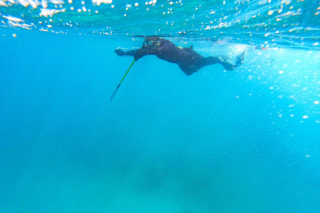 Resultados – I Válida Nacional 1er Campeonato Nacional FVAS de Captura del Pez León 2021
fvas.com.ve/i-valida-nacio…