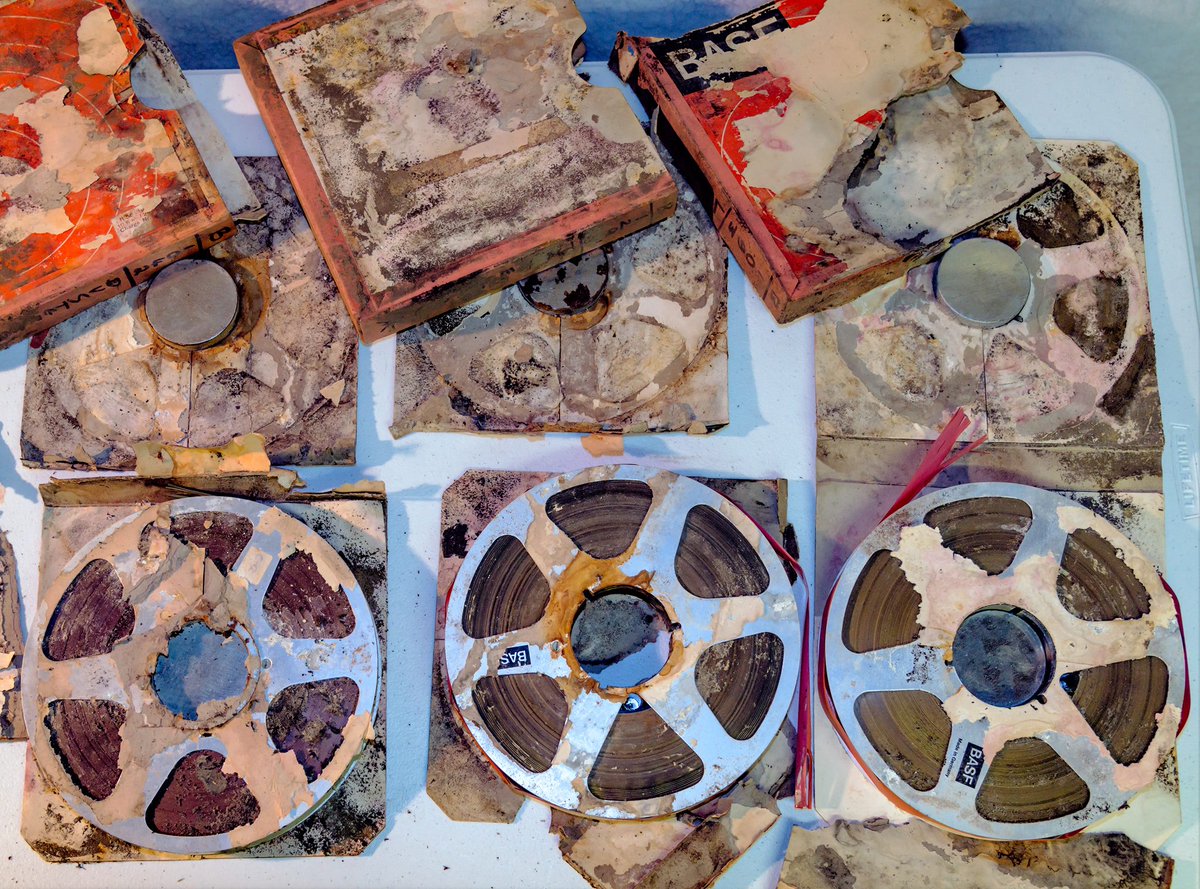 Sonicraft's tweet photo. We have rescued tapes that have been stored in root cellars, have been through hurricane flooding, and even stored in a damaged time capsule! Learn more: https://t.co/oQT5AS9YqU
#tapetransfer #reeltoreel #tapepreservation #sonicraft #tapebaking https://t.co/csUZoHb9mz