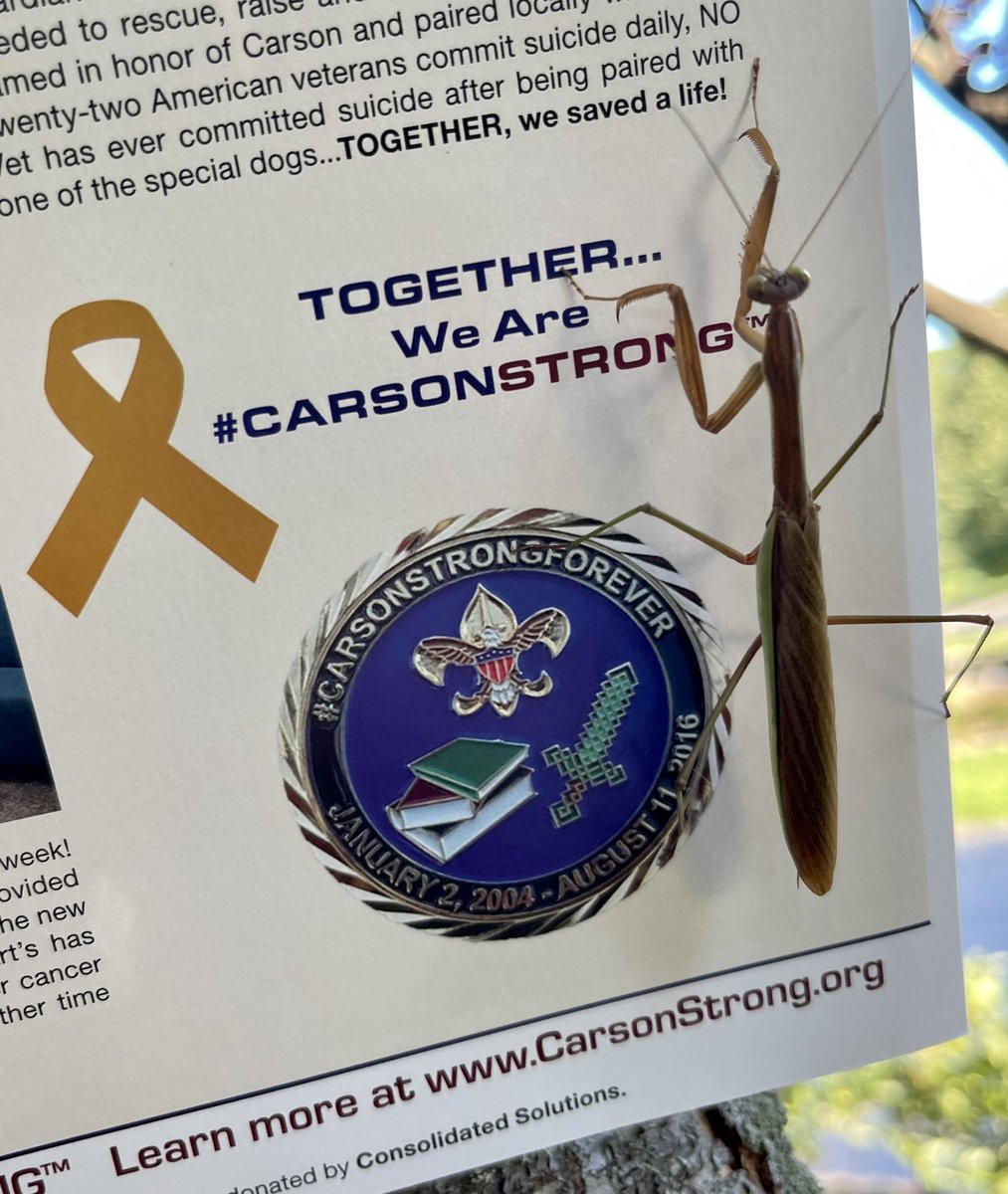 CarsonStrong4's tweet image. Working outside on the foundation today and had a little help…
We are @CARSONSTRONG