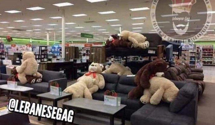 محشش توظف في محل العاب والمدير طلب منو يرتب الدباديب بس لحد دلوقتي مش عرف ليه طردوه ! من المحال 😁🤭😂😂😂😂😂😂