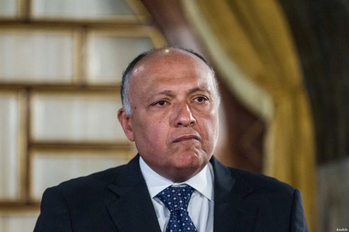 Egyptian Foreign Minister Sameh Shoukry has stressed the importance of the pivotal role of #Syria and #Egypt in preserving Arab national security, pointing to Egypt's determination to play an active role in helping Syria to get out of the crisis.