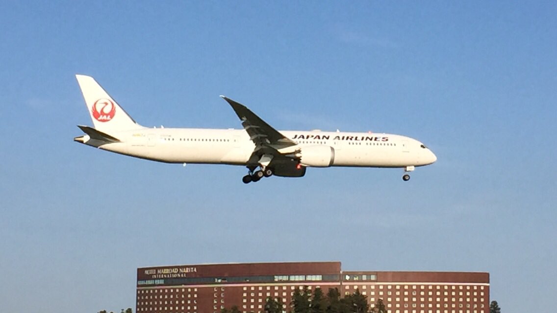 マイメロジー ディズニーランドより楽しい場所 成田空港 大体 いつも家族をディズニーランドに置いて成田空港 に向かうパターンが多いです しかしたまにはディズニーにも行かないとですね 孫ちゃんもいるし