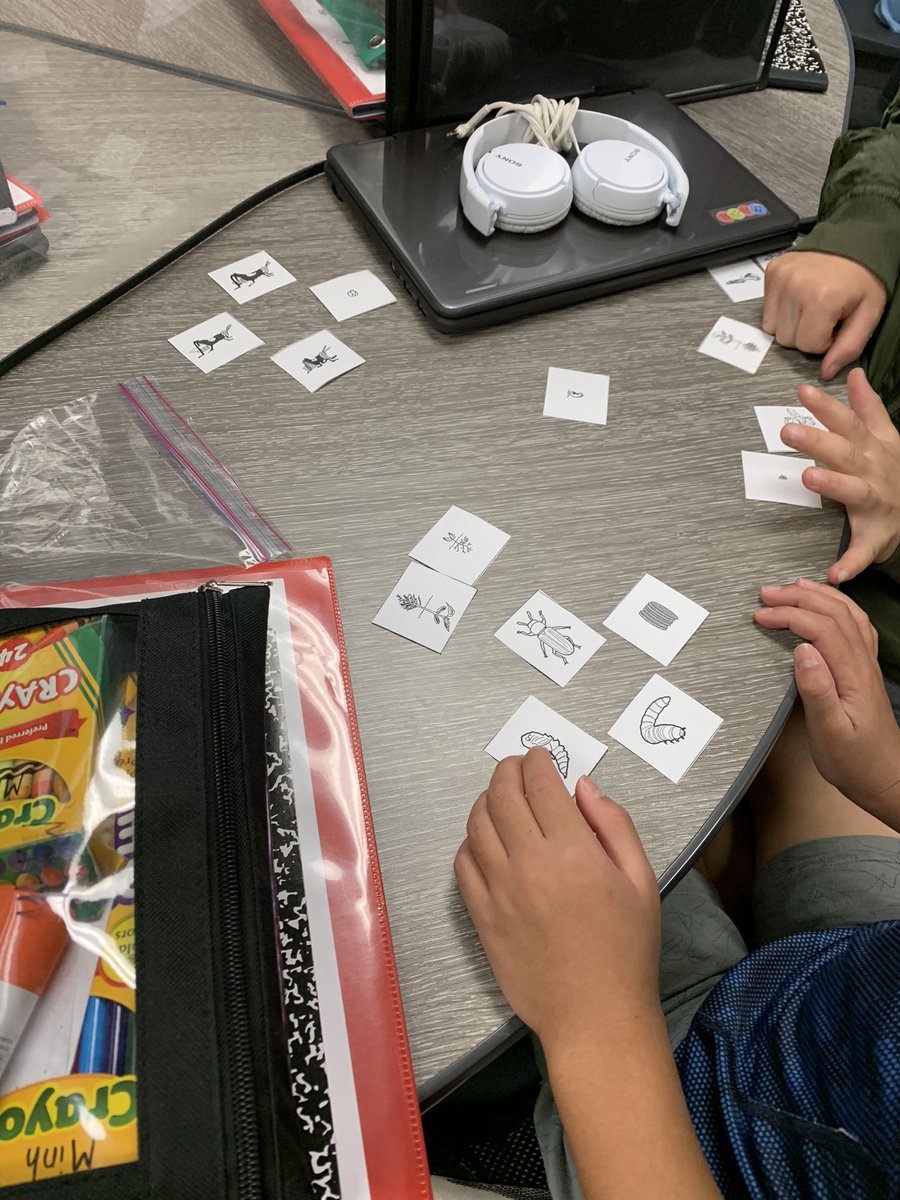 BESChapman1's tweet photo. The rich discussion of a life cycle sort! Ss are sharing what they know, think they know and connections they see! #gcisdsci @BESTexans https://t.co/bfBXEuxX6s