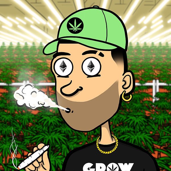 GROW_HOUSE_'s tweet photo. Don’t miss this #NFTGROW  Soon you can get high on NFTs with #GROW #polygon #Cryptopunks #stonednfts #cannaverse https://t.co/VLmHpt5WCR