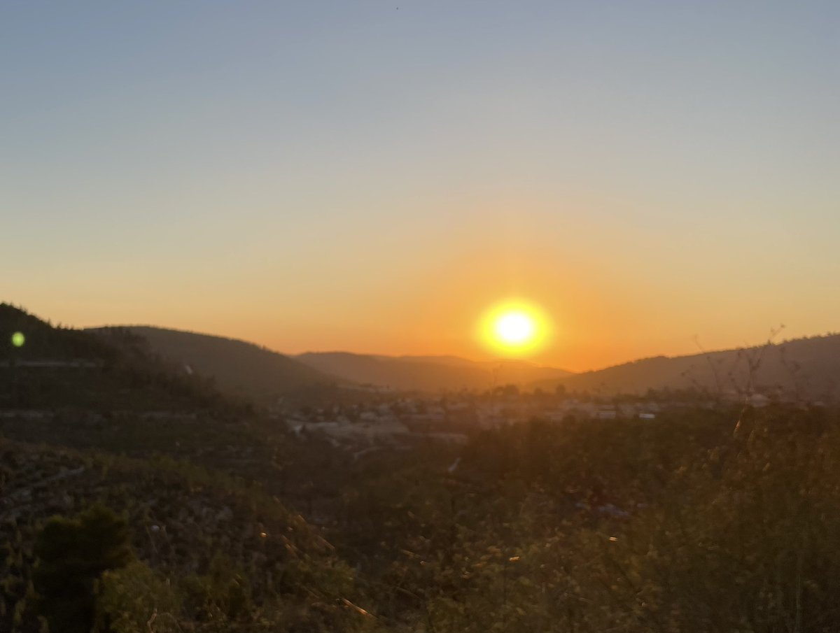 Sahar Melamed tweet media