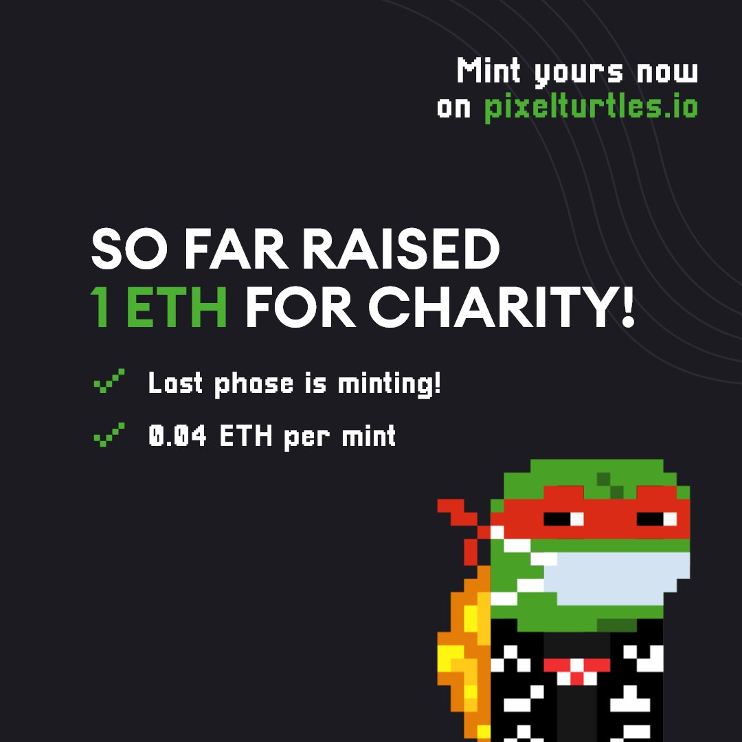 Pixel Turtles tweet media