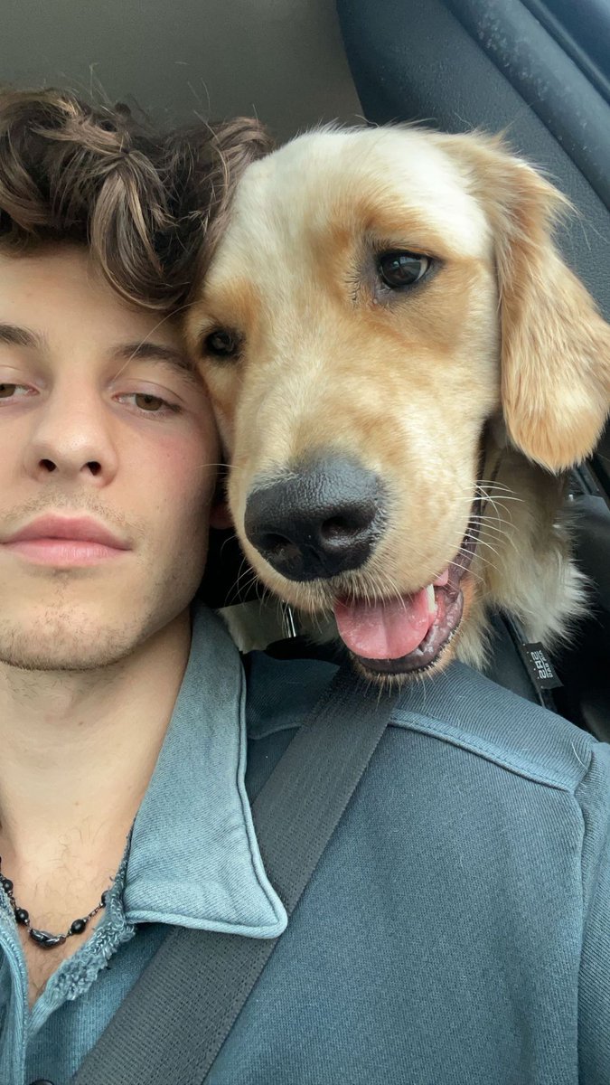 TARZAN 🥰! Shawn Mendes via Instagram Stories.
