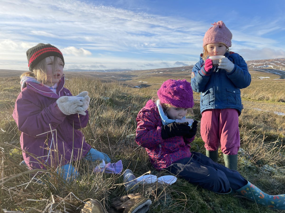 YorkshireShepherdess tweet media