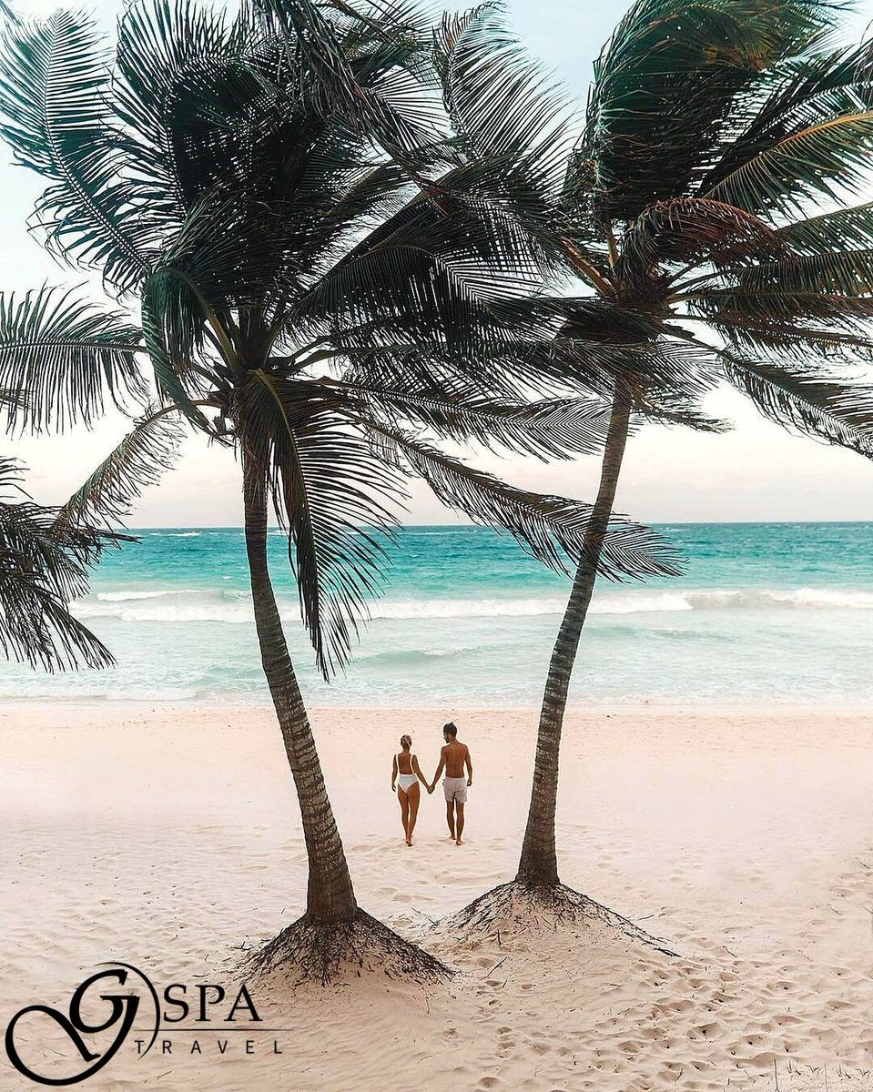 GspaTravel's tweet photo. Moments like these in Tulum (Mexico)🤍 ¡Reserva ahora! 📞302 324 9503 / 319 394 2338 / 315 644 8748. #earth #cenote #mexico #travel #exploration #wanderlust #explore #culture #cenotesmexico #mexico🇲🇽 #traveler #travel #explore #exploremore #createtoexplore #visualsofearth https://t.co/5lbScXKcdF