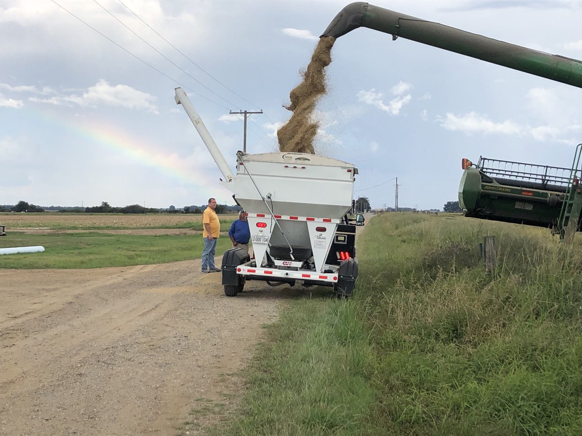 Phil Horton tweet media