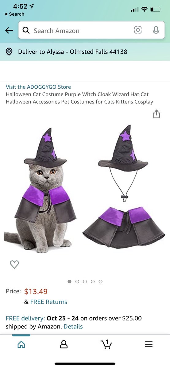 miss demeanor tweet media