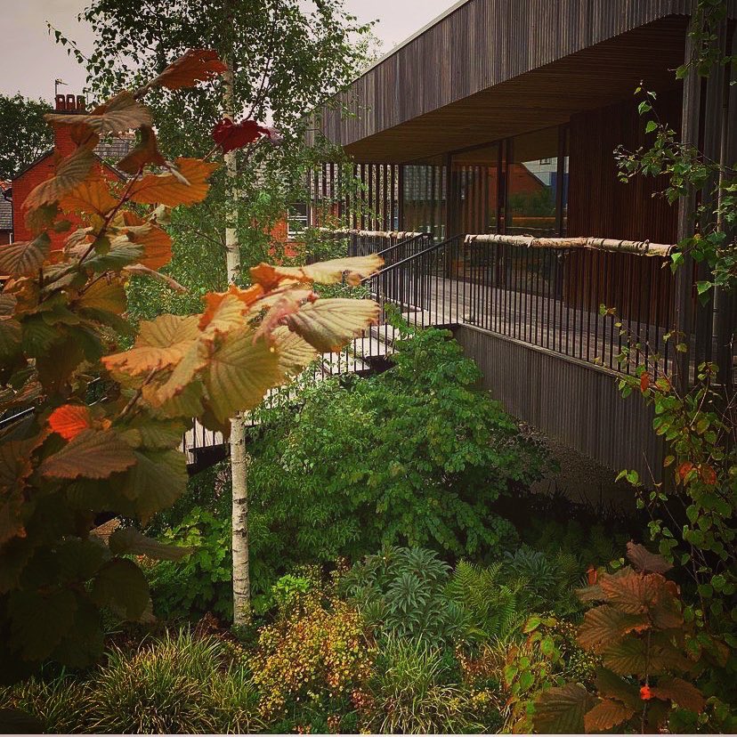 JonJarvis_1's tweet photo. My favourite project I’ve worked on, it was a pleasure to work alongside @rupert_muldoon @jasmin_sohi @alexderijketimber @drmm_architects @f_parkinson_ltd @maggiesoldham @johnsonswhixley @hilliertrees #japanesegarden #landscapedesign #baliawards #shinrinyoku #forestbathing https://t.co/zHC7prn6YM