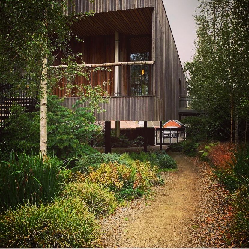 JonJarvis_1's tweet photo. My favourite project I’ve worked on, it was a pleasure to work alongside @rupert_muldoon @jasmin_sohi @alexderijketimber @drmm_architects @f_parkinson_ltd @maggiesoldham @johnsonswhixley @hilliertrees #japanesegarden #landscapedesign #baliawards #shinrinyoku #forestbathing https://t.co/zHC7prn6YM
