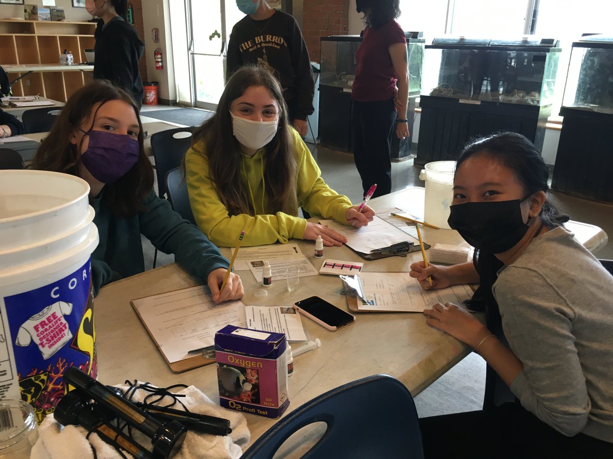 Dwight School tweet media