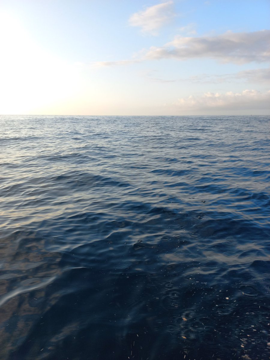 eliapages10's tweet photo. Quan algú em diu que el mar li dóna vida, que el necessita a prop o qualsevol cosa per l’estil que suposi estimar el mar com un bé superior, aviso que em té un 50% guanyada. És que, clar… com per no estar-ne enamorada. https://t.co/eG1L15KMl1