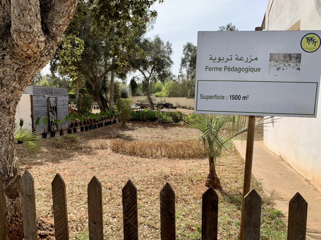 TromlerMiklos's tweet image. Mardi 12/10 on lance la 1ère action de sensibilisation de la jeunesse avec #CIAT pour le #compostage le #tri #sélectif et la protection de l’environnement. Grâce à #Profikomp on offre des composteurs et à #Attawafouk la solution de tri des déchets ♻️ une chaîne de valeur complète